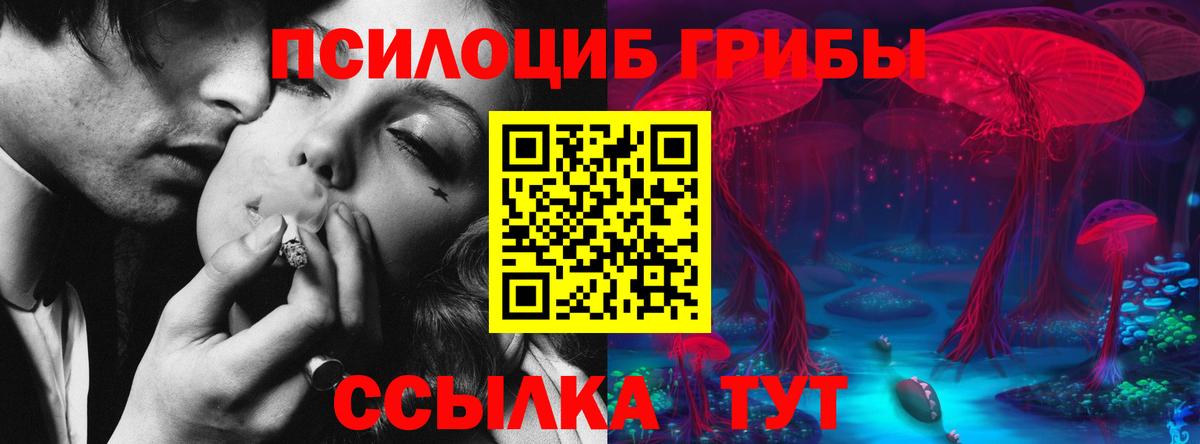 Якутск  Псилоцибиновые грибы Cubensis  Вход с VPN  Псилоцибиновые грибы Psilocybine cubensis 
