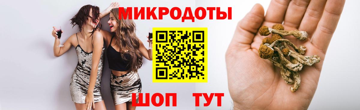 Псилоцибиновые грибы Psilocybe Якутск